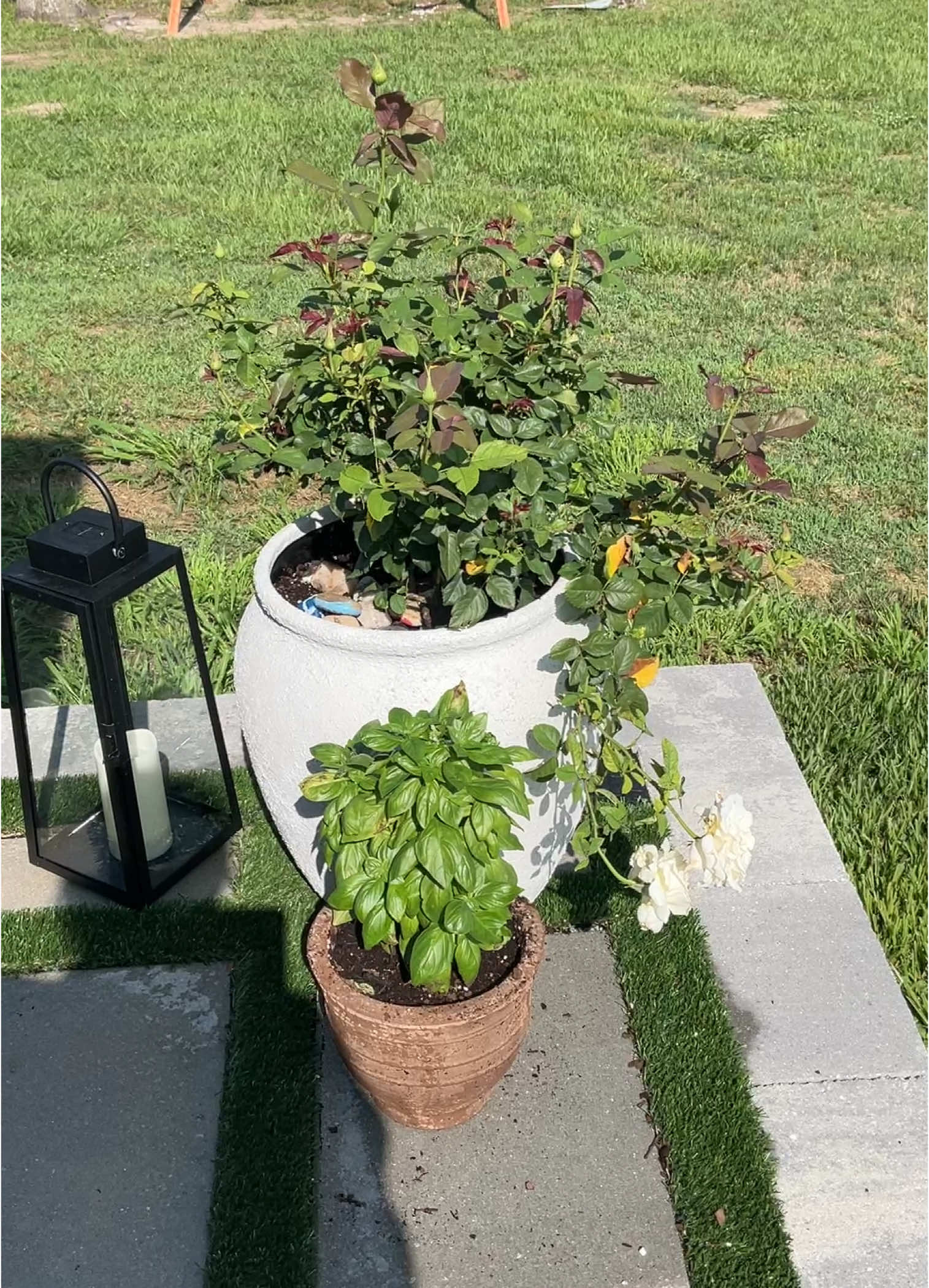 Sneak peek to from the video I posted on YT. Our backyard makeover DIY #backyard #backyard, makeover #DIY #PatioMakeover #SummerDecorating #SummerPatio #mirador @Miradoroutdoor 