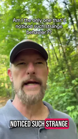 I can’t be the only one who feels like people’s behavior is strange?? #strangebehavior #strangepeople #conspiracytok #conspiracytheorytiktok #somethingfeelsoff 