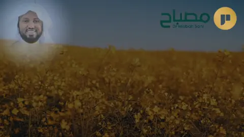 #CapCut #misbahsani #قران_كريم #fyp #quran 
