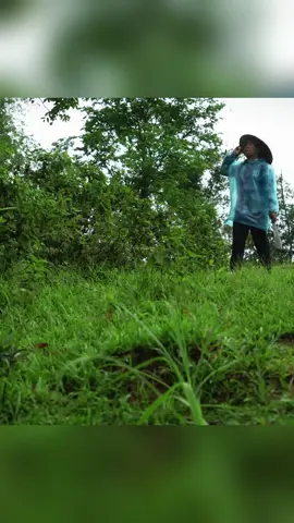 #build #garden #bushcraft #Vlog #singlemomlife 
