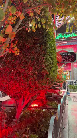 #السلام_عليك_يااباعبد_الله_الحسين #مرقد_الامام_الحسين 