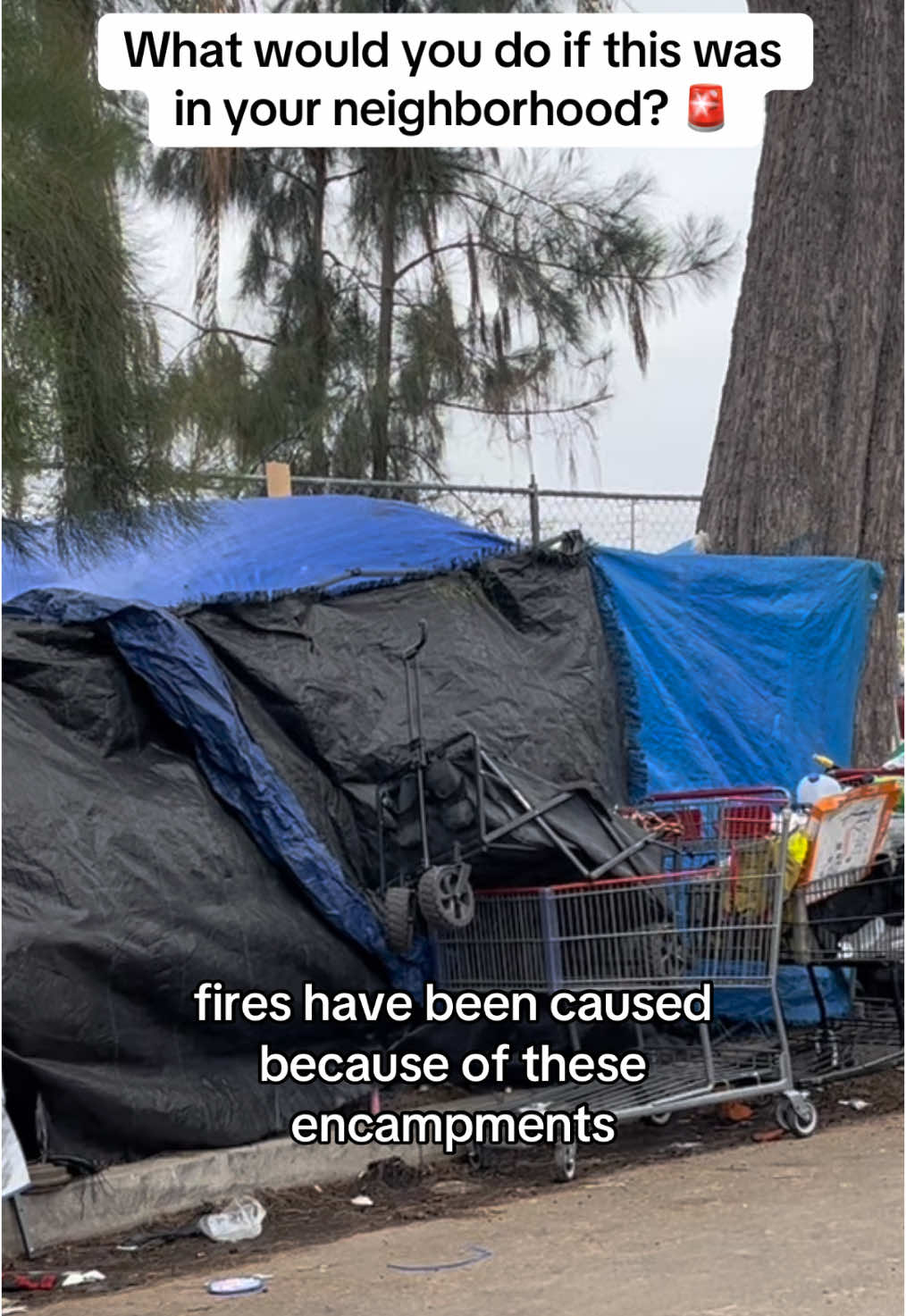 The people in this once nice, quite neighborhood are desperate for help! They have begged and pleaded with the city only for the situation to get worse! What should they do? #california #la #homeless #fyp
