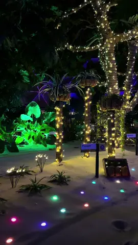 Living with the land en Epcot ✨🎄 #ThemeParkTok #epcot #waltdisneyworld #DisneyPOV #DisneyRide #christmas 