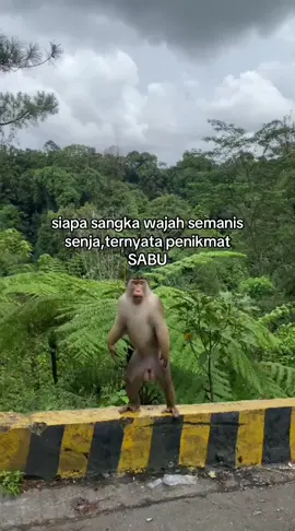 tak ku sangka kawan🙃#fypシ゚ #fypツviral #minang #padang #fypシ゚viral🖤tiktok #fypp #fypdong #fyppppppppppppppppppppppp 