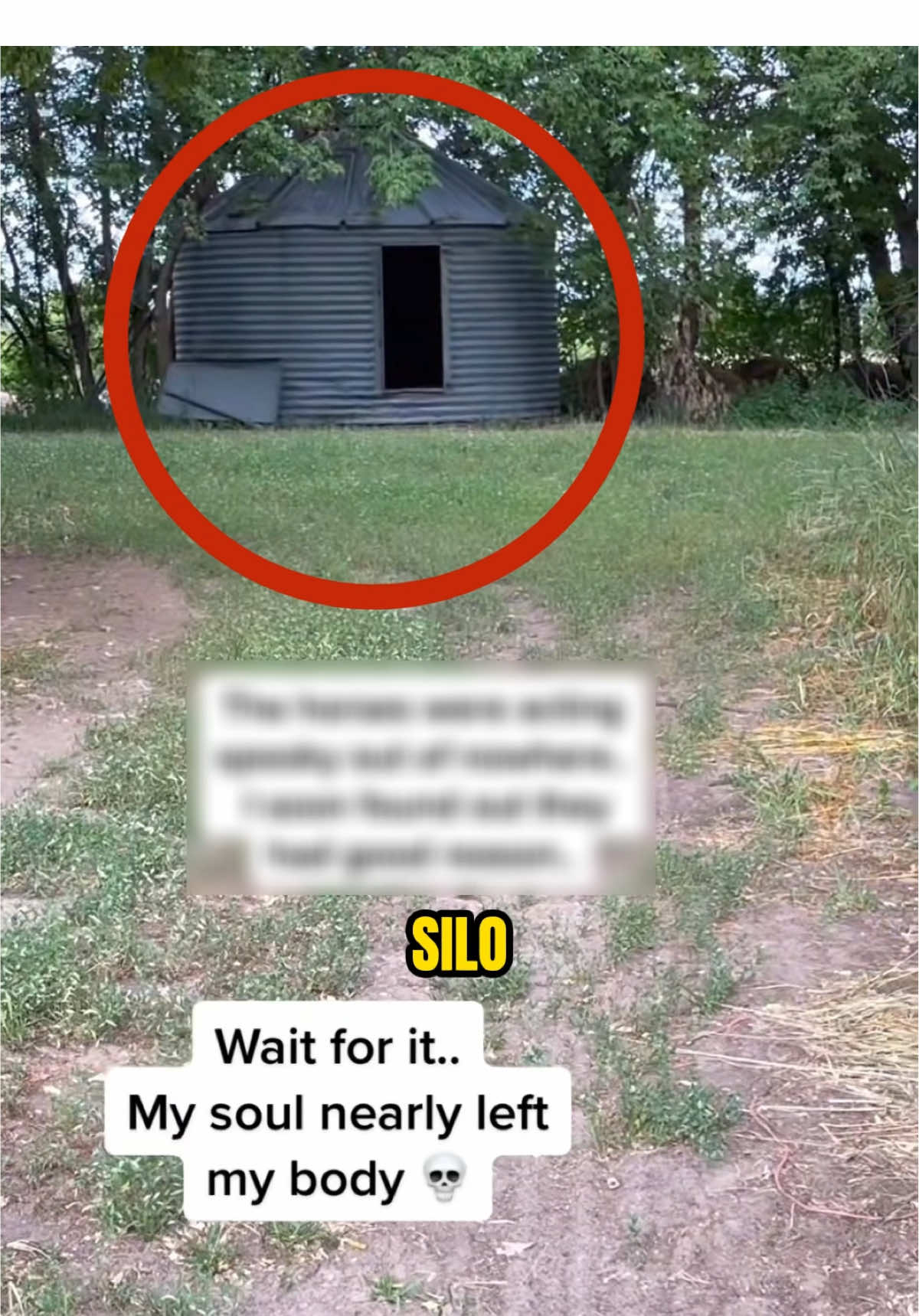 Something Was in There... whitmarie1 / TikTok #scary #haunted #scarytiktoks #paranormal #thefaceofhorror 