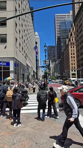 The Fifth avenue, Manhattan  #nyc #ny #newyork #newyorkcity #nyclife #nycviews #nycskyline #fypシ #fyp #foryoupage #ньюйорк #сша 