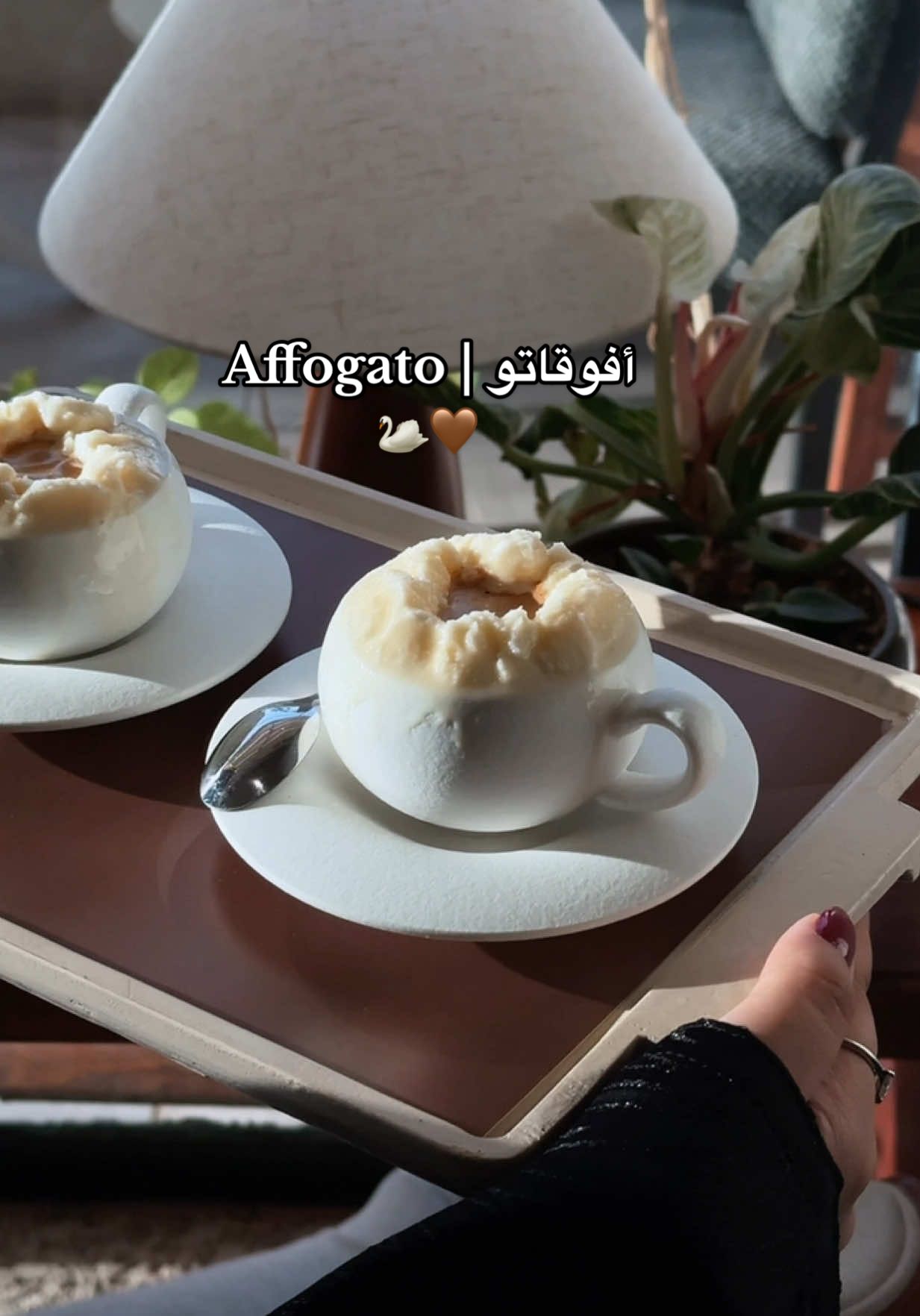ياللي ماليش غيرك تاني حبيب 🦢🤎 @w2 cafe  #حايلندا #كوفيهات #كوفيهات_حايل #مصورين 