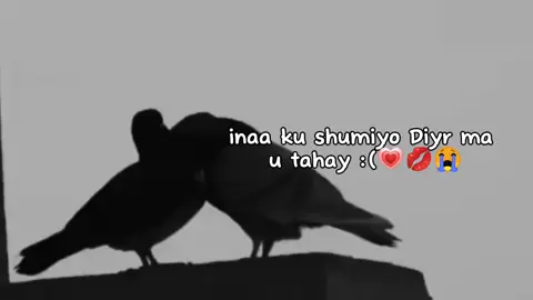 Diyaar mathy😭 ...