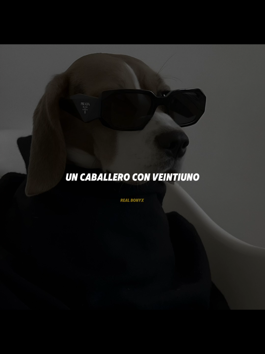 yo no soy viejo pero tengo la cuenta como uno Bad Bunny#BadBunny#cómoledigo #dedicale #rolitas #dedicale_a_quien_amas🌹 #rolitaskocas #pppppppppppppppp #musica #parati #rolitas 