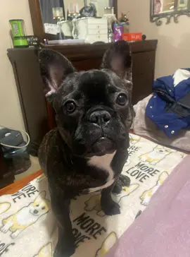 Tookie, just letting everyone know who’s boss.