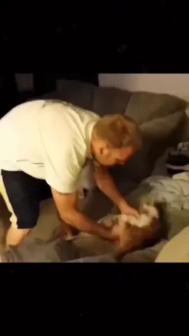 #funny #funnyanimals #funnyvideos #pet #cute #fyp 