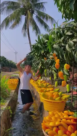 OMG 😱🍀☘️🔥💥🌱#happy#fyp#asmr#fruit#fruits#uk#usa 