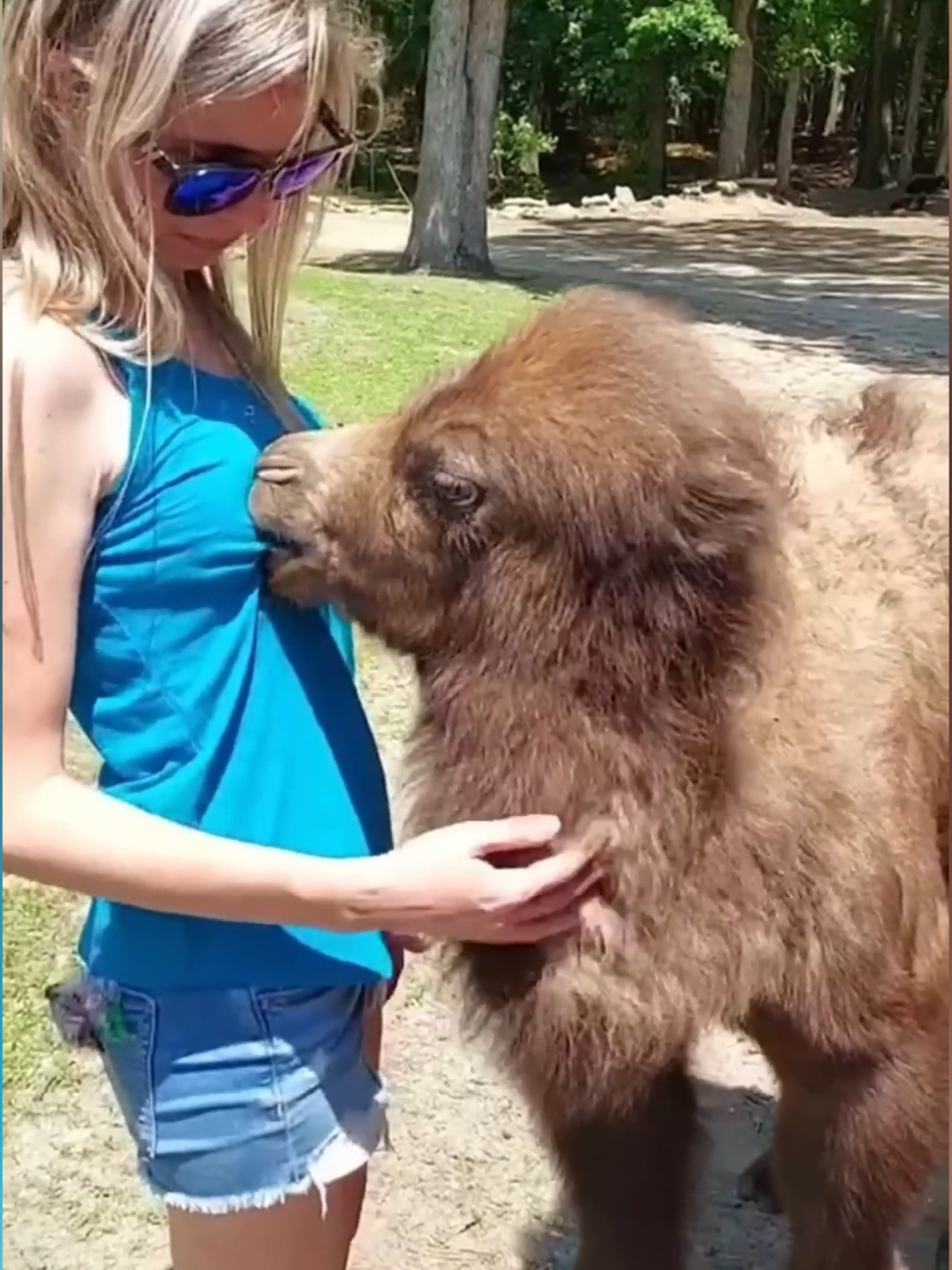 If you would like to support me and my content it would be muchappreciated 😸:https://buymeacoffee.com/theworldofanimals24 😂 Funniest ANIMALS Videos That Will Make You Laugh To Tears! 🐾 Get ready to burst into laughter with the funniest animal videos on the internet! From hilarious dog fails to crazy cat antics, this compilation will have you rolling on the floor laughing! Whether you're a fan of cute pets, funny animal moments, or just looking for a good laugh, this video is for you! In this epic funny animal compilation, you'll witness: 🐶 Dogs being hilariously clumsy 🐱 Cats pulling off the most unexpected tricks 🐦 Birds doing wacky dances 🐼 Adorable animals being downright silly 🤣 And so much more! If you love funny pet videos, animal bloopers, and crazy animal moments, make sure to LIKE, COMMENT, and SUBSCRIBE for more laughter-filled content! Don't forget to hit the 🔔 notification bell so you never miss out on the best animal videos that brighten your day! 💬 Tell us in the comments which clip made you laugh the most! ✅ Subscribe for more hilarious content: https://www.youtube.com/@TheWorldOfAnimals-y24 👍 Follow us on Social Media: Instagram: https://www.instagram.com/theworldofanimals24/ TikTok: https://www.tiktok.com/@theworldofanimals24  #funnyanimals #funnyvideos #cutepets #animalcompilation #laughchallenge #funnydogs #funnycats #animalfails #viralvideos #trynottolaugh 
