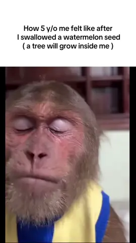 #fy #fyp #foryou #foryoupage #real #goviral #viral #monkey #funny #relatable #fyy #foruyou 