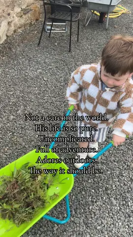 Collecting sticks or pulling weeds. Would live outside if he was allowed 🤩 