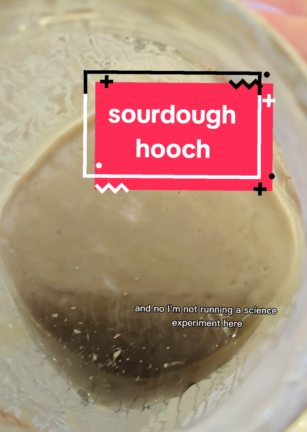 Trust the funk. Even if it looks like a biohazard 😅#sourdoughtok #sourdoughstarter #fermentation #homesteadinglife #urbanhomestead #weirdtiktok #fridgelurkers #starterresurrection #scienceproject #hoochwatch #fyp #foryou #LearnOnTikTok #storytime