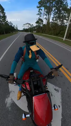 Agent P full theme song! Season 5 of Phineas and Ferb premiere this week! #bangincosplay #cosplay #perrytheplatypus #furry #phineasandferb #motorcycle #suzuki #agentp @Dan Povenmire 