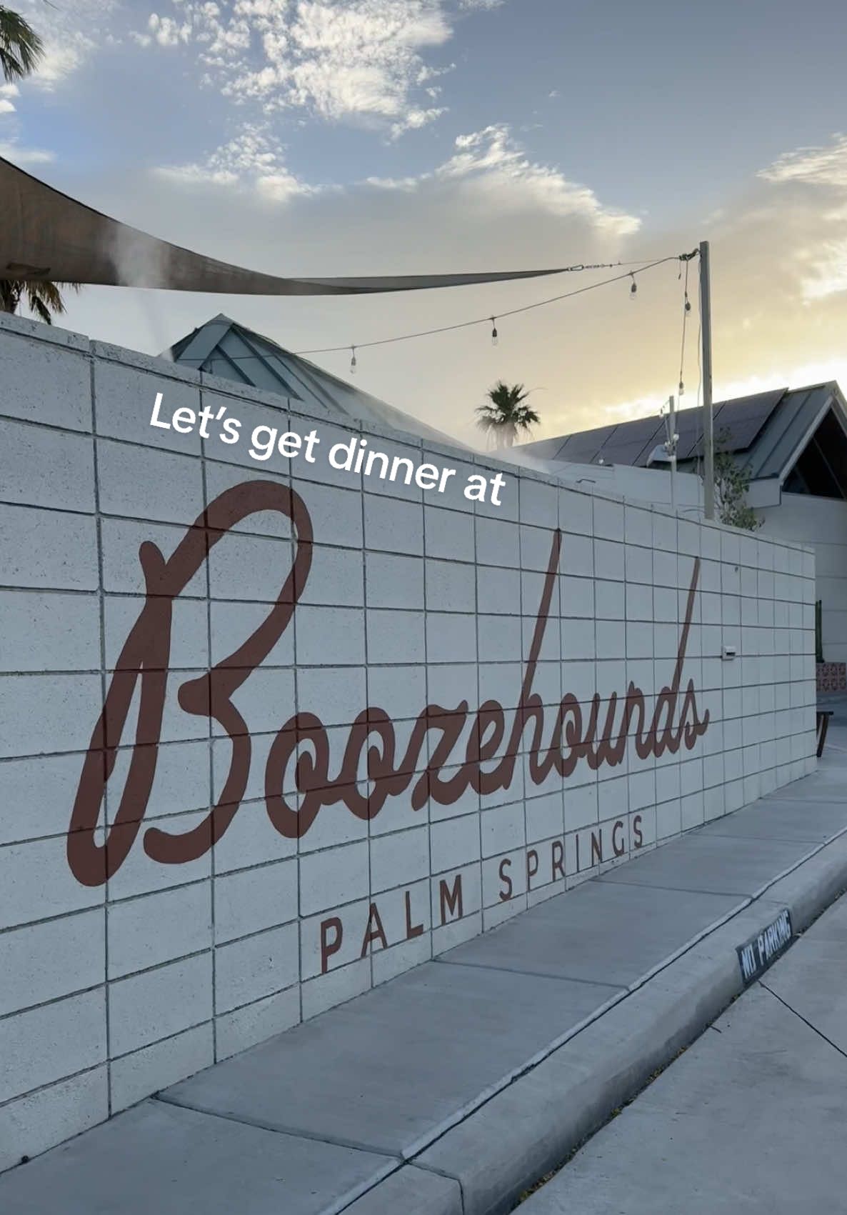 Dinner @Boozehounds Palm Springs 🍸 #fyp #palmsprings #foryoupage #boozehoundspalmsprings #boozehounds #dinner #drinks #appetizer #vibes #viral #trending #foryourpage #fypシ #fypシ゚viral #palmspringscalifornia #california #traveltiktok #travel #traveltok #tips
