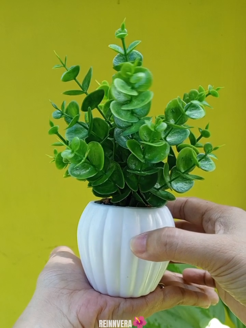 Pinakamurang aritificial plant na mabibili mo.😩 #artificialpottedplants #miniplants #homeimprovement #minimalism #homedecor #officedecor 