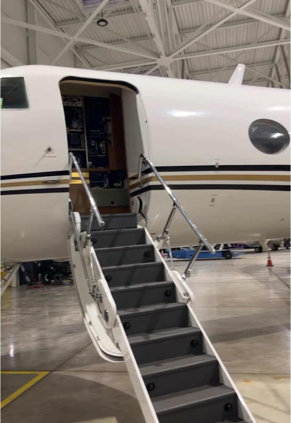 El chiste es caer gordo #privatejet #airplane #viaje #luismiguel #mamon 