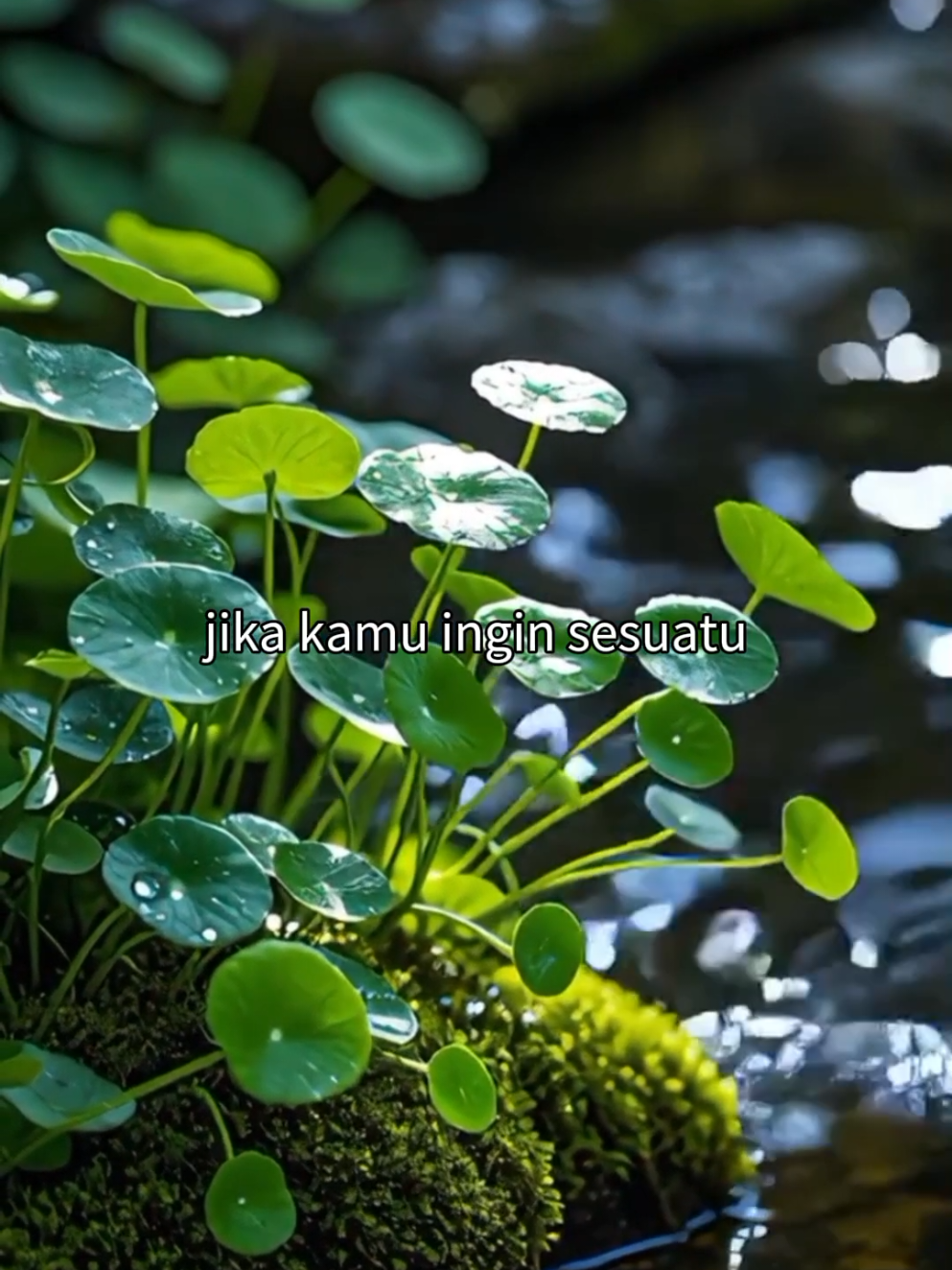 #motivasihidup #quotes #fyp #katakata #quetesstory #foryou 