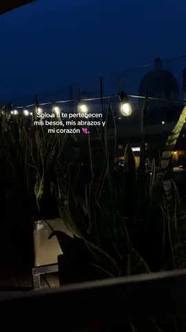 // #foryupage #y #noviecito #teamo #pyf #amor #tik_tok #apoyo #pyf #comparte #viral_video #dedica 