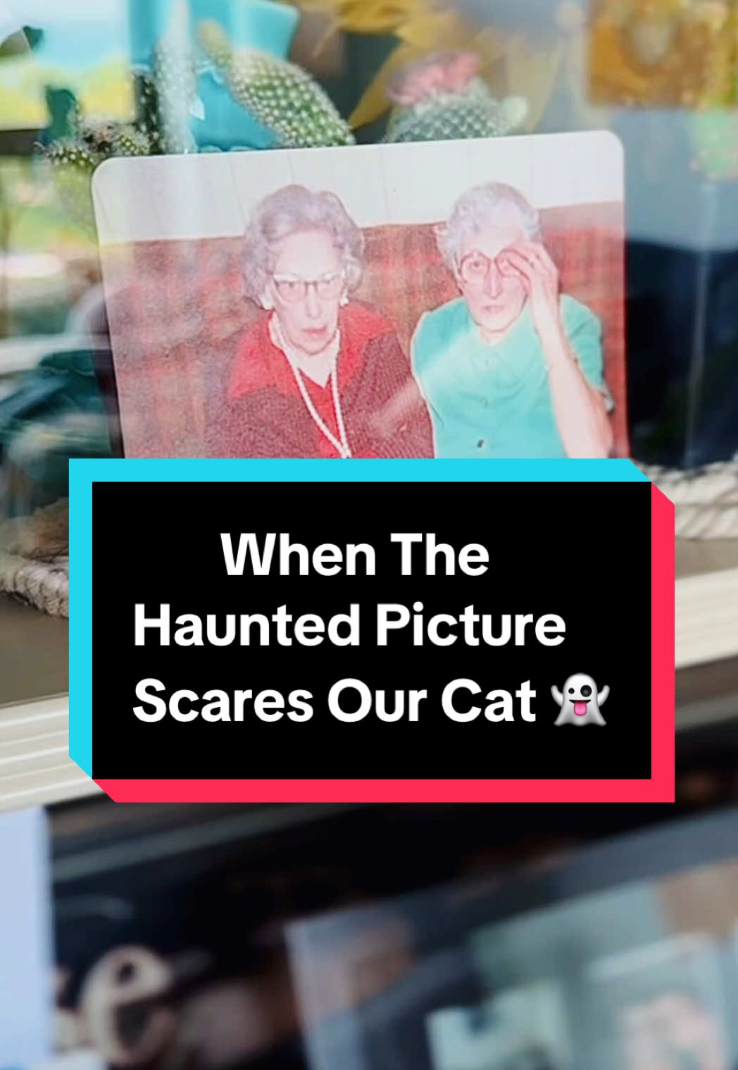 Okay but can someone come get their aunts? This is the same picture that kicked off us hearing our own voices and now we’re hearing meows when our cat is asleep… #mimic #mimicstories #hauntedplaces #hauntedhouse #ghosthunting #ghosthunter #paranormal #spooky #paranormalinvestigator 