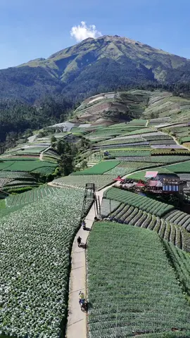 Nampan sukomakmur dari ketinggian #fyp #sukomakmur #liburan #magelang 