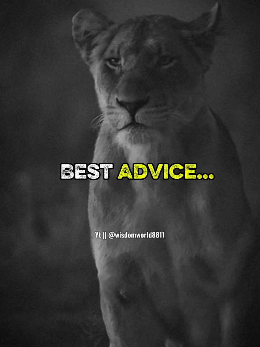 Silence is the best Answer ‎#choosestrength  #staystrong  #LifeIsToughButSoAreYou #motivationalshorts  #resiliencemindset  #noexcuses  #shorts  #mentaltoughness  #stayresilient  #mindsetmatters ‎#english_quotes  ‎#motivation #motivationalvideo #quotes  ‎#whatsappstatus #english #positivity #shorts  ‎#youtubeshorts #ytshorts #english_whatsapp_status  ‎#youtube #motivationalquotes #lifechangingvideo  ‎#inspiration #inpirationalquotes #life #success #like #short ‎#choosestrength  #staystrong  #LifeIsToughButSoAreYou #motivationalshorts  #resiliencemindset  #noexcuses  #shorts  #mentaltoughness  #stayresilient  #mindsetmatters ‎ ‎- #Quotes   ‎- #MotivationalQuotes   ‎- #Inspiration   ‎- #LifeQuotes   ‎- #PositiveVibes   ‎- #DeepQuotes   ‎- #QuotesOfTheDay   ‎- #SuccessQuotes   ‎- #DailyMotivation   ‎- #Wisdom ‎- #Shorts   ‎- #YouTubeShorts   ‎- #QuoteShorts   ‎- #InspirationShorts   ‎- #MotivationShorts   ‎- #DailyQuotes ‎- #MindsetMatters   ‎- #SelfImprovement   ‎- #BelieveInYourself   ‎- #MentalHealthAwareness   ‎- #HustleQuotes   ‎- #NeverGiveUp   ‎- #GrindMode   ‎- #StayPositive ‎- #IslamicQuotes ‎- #LoveQuotes  ‎- #AttitudeQuotes ‎- #SadQuotes‎#quotes #motivational #status #lines #whatsappstatus #emotions #motivations #refaad_quotes ‎ ‎#quotation #quotess #quites #quotestagram #quoteslife #dailyquotes #quoted #quotestoliveby #quoteoftheday #quote #YouTubeCreatorAwards.#upscmotivation | #dreamias |#upscmotivationalvideos #Dreambig #ytshorts #shorts #youtubeshorts #upscstatusmotivation #upscwhatsappstatusvideo #whatsappstatus #whastappstatus #upscaspirantstatus  ‎#Motivationalinstrumentalsong ‎ ‎#lasmotivationalvideo #Iasmotivationalsong #Iasmotivationalsongvideo. ‎ ‎#Ipsmotivationalvideo #Ipsmotivationalsongvideo #Ipsmotivationalsong #Ifsmotivationalvideo #Ifsmotivationalsongvideo #upscmotivationalvideo #upscmotivationalsongvideo #Upscmotivationalsong #Upscmotivationalstatus.#upscmotivation | #dreamias |#upscmotivationalvideos #Dreambig #ytshorts #shorts #youtubeshorts 