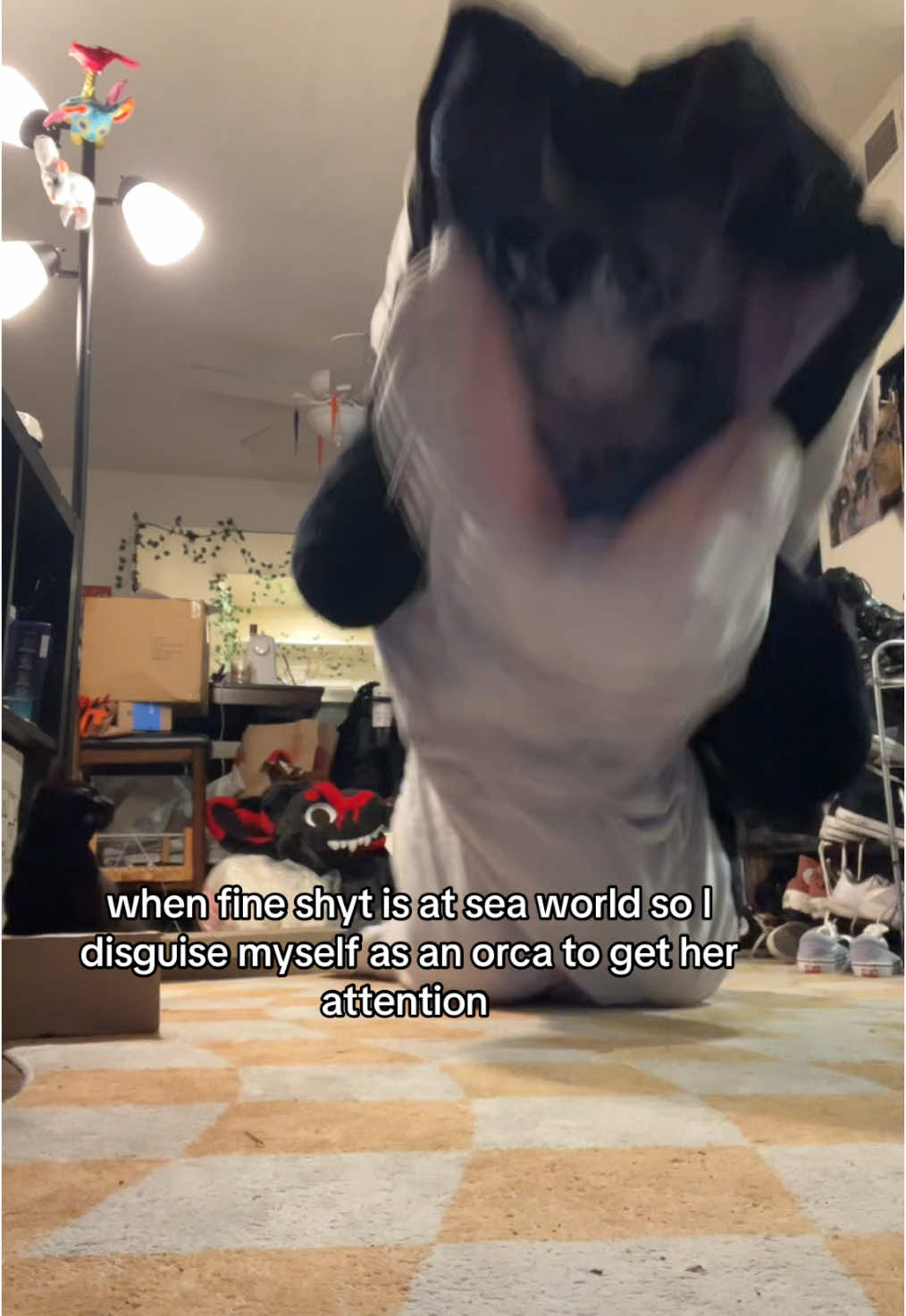PLUH 🗣️‼️#furry #fursona #furries #furrytiktok #fursuit #furrycommunity #furryfandom #fuzz #furriesoftiktok 