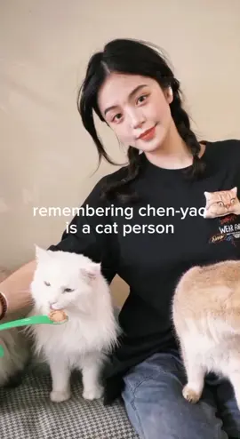 LOVE CATS🤍🤍🤍#chenyao #fyp #zaibuzai #cats 