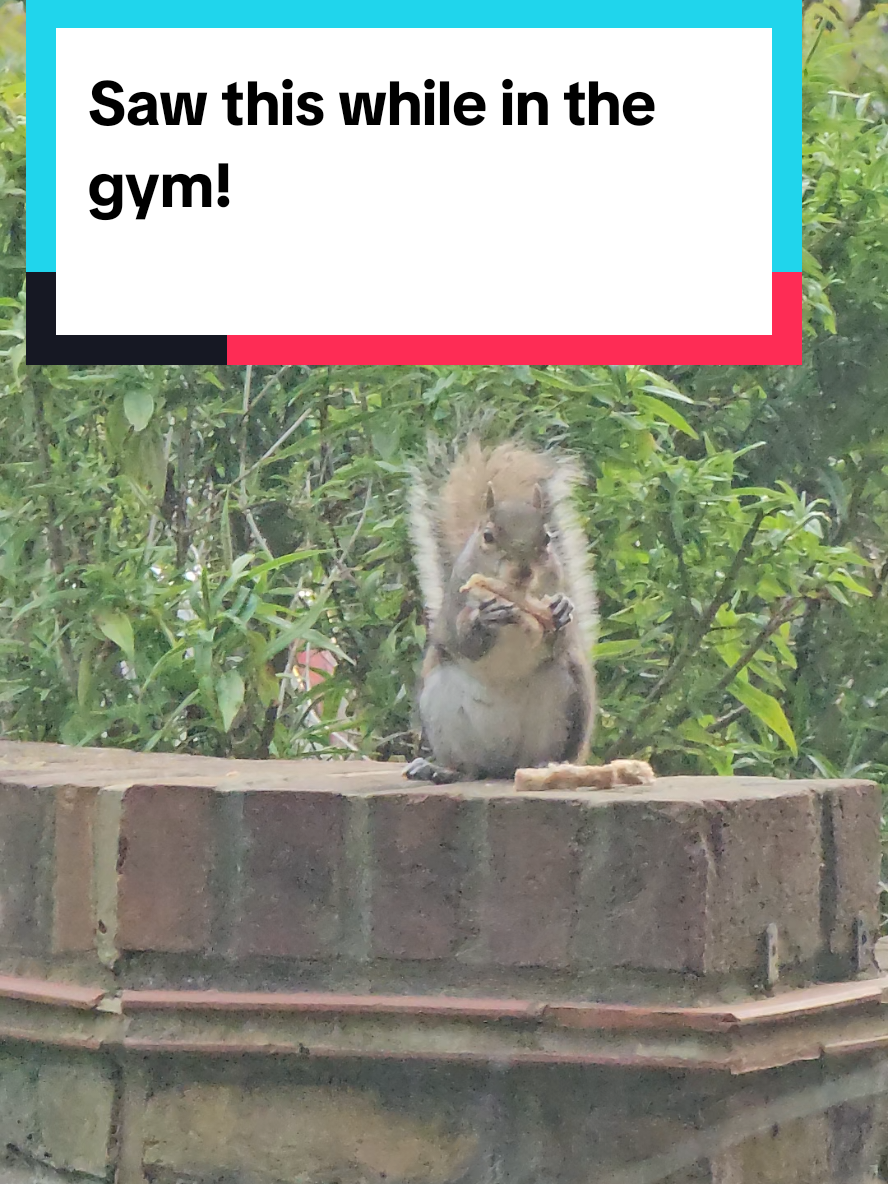 Looking out through the gym window, I saw this😊 #london #uk #hustle 