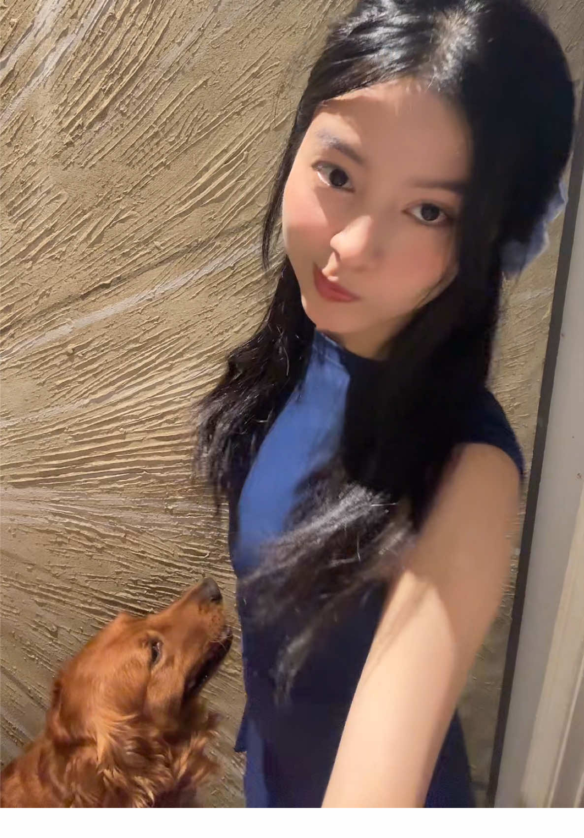 Descer dance challenge with my doggo #descer #dance #dog #trend 