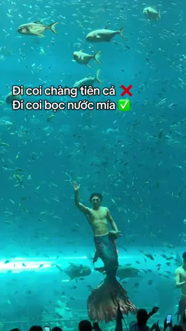 Ú oà ú oa