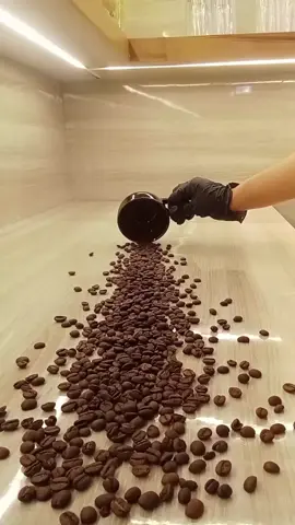 Latte transition tutorial ☕  Himalayan creamy coffee beans  #Kiran_dai_ko_momo  #putalisadak  #CapCut  #nepalitiktok 