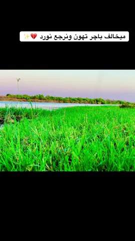 ميخالف باچر تهون ونرجع نورد 💔✨#تصويري📸 #عباراتكم_الفخمه📿📌 