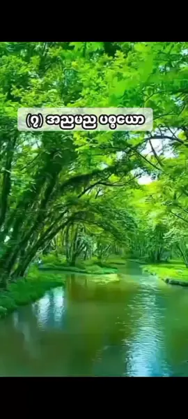 Patthana အဆက်လေးပါ #buddha #dhamma  #ပဌာန်း #တရားတော်များနာယူနိုင်ပါစေ🙏 #foryou #foryour #fyp 