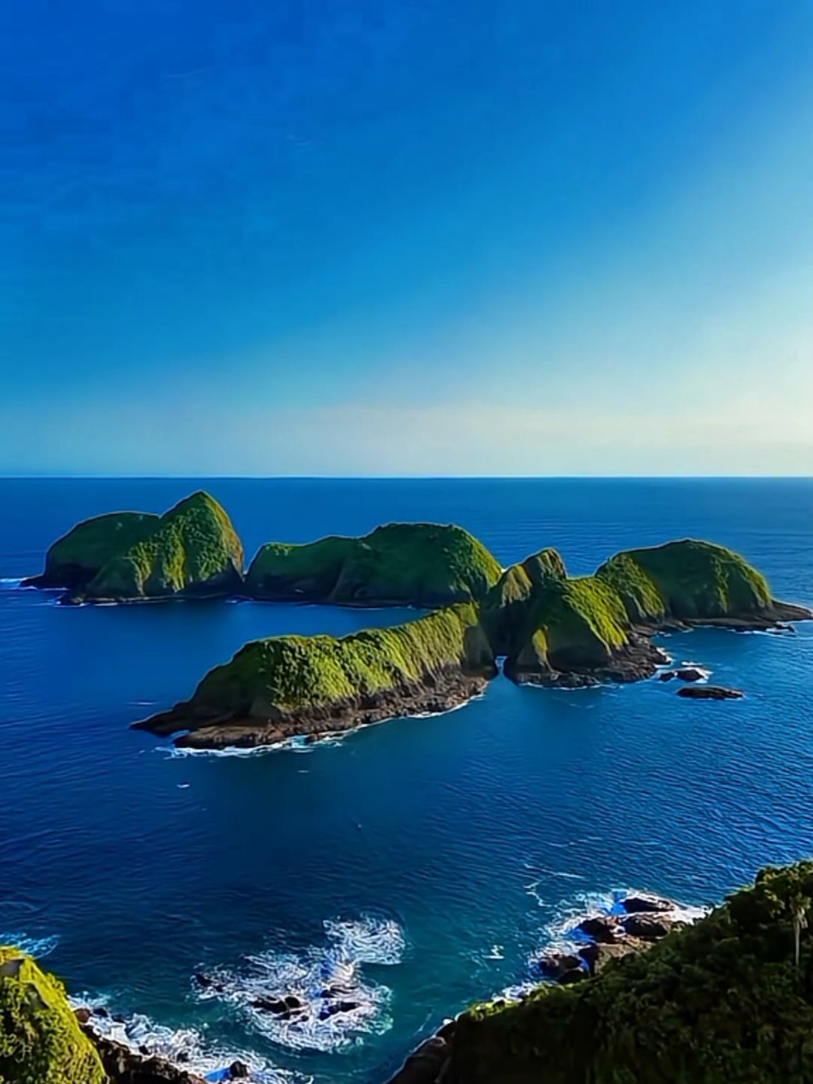 BANYUWANGI MEMANGGIL KAMU BUAT EXPLORE KEINDAHANNYA ✨🌄 Yuk Gassz gak sih Sob Amanin Long Weekend Liburan Explore Alam Banyuwangi🙌 Reservasi & Konsultasi Gratis Langsung DM atau WhatsApp Admin Ya Sob  Aku tunggu Kamu di Banyuwangi 🤗 #fyp #tranding_video #liburan #greenisland #pulaubedilbanyuwangi #banyuwangi #WisataBanyuwangi #enjoybanyuwangi #pesonaindonesia 