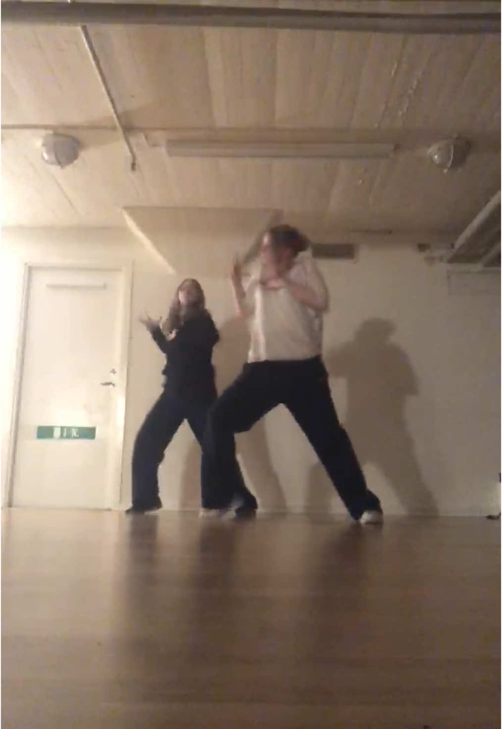Just had to post this too @hermione♡⋆˙⟡|| saw txt! #Moonstruck #enhypen #kpop #dance #kpopdance #fyp #4u #sweden 