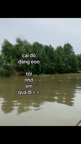 #tamtrang #tuanvi2811 