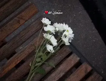 زکرێک بنوسە🤲🏽♥️» #الهم_صلي_على_سيدنا_محمد🤍🕊 #اللهم_صلي_على_نبينا_محمد #الله_اكبر #allah #الللهم_امين_يارب_العالمين #quran #الەالااللە #