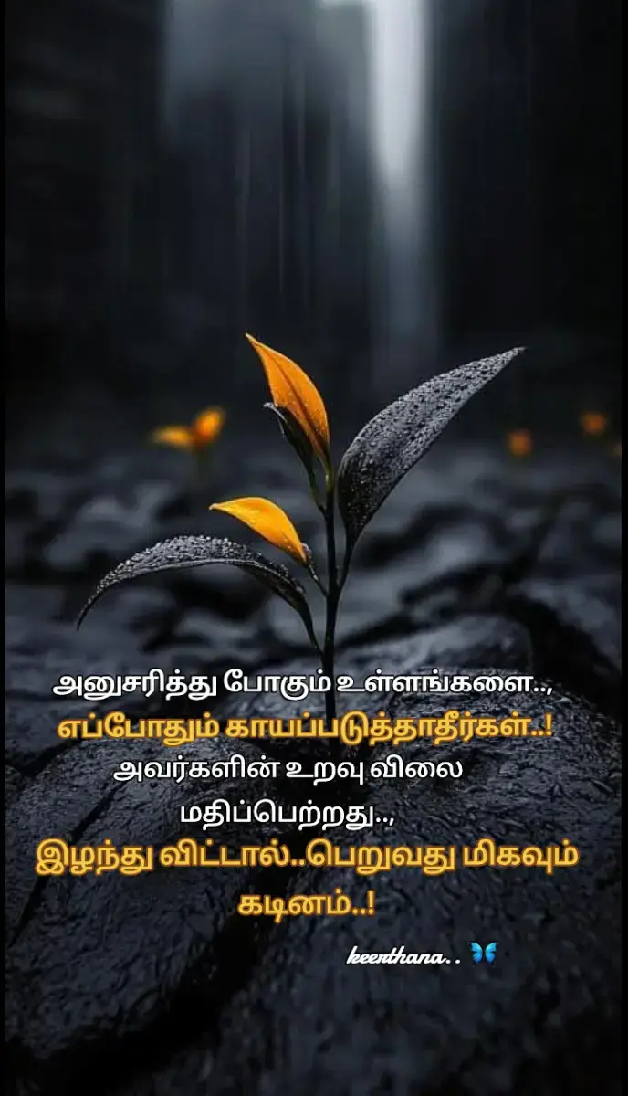 #tamilsong #தமிழ்டிக்டாக் #தமிழ் #song #sadsongtamillove #tiktok #flowers #new #Tamil #kavithai #music #flowers #foryoupage❤️❤️ #foryoupage #tamiltiktok #tamilkavithai #lovefailure #tamilquotes #தமிழ்கவிதைகள் #tiktokindia #tiktokindia #trend #டிக்_டாக் #tamilsong #tamilstatus #தமிழ்கவிதைகள் #tutorial #tiktokviral #tiktoknews #tamilmuser #fy #songs #tamilsongs #tamilsongsstatus #காதல்_வலி #காதல்கவிதைகள் #tamilsongsstatus #fy #fyppppppppppppppppppppppp #fypviraltiktok🖤シ゚☆♡ #fypviral#1milion #1viral #viraltiktok  #100k #100kviews #ztamil #trendingsong# #trendingsong #trend 