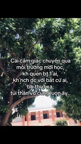 #xh #tuithan