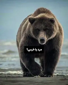 :)  #فوريو #تیک_تاک_ایرانی #تیک_تاک_فارسی #fyp #foryou #ادیت 
