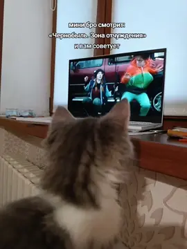 #чернобыльзонаотчуждения #чзо #припять #чернобыль 
