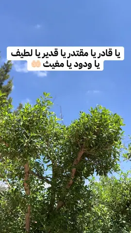 يا قادر يا مقتدر يا قدير يا لطيف يا ودود يا مغيث 🤲🏻