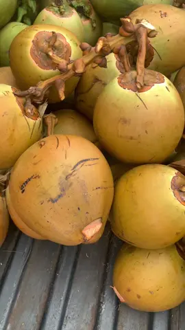 Kelapa muda ready guys siap kirim, harga bisik2 #kelapamuda #degan #eskelapamuda #kelapamudaviral #juragankelapamuda 