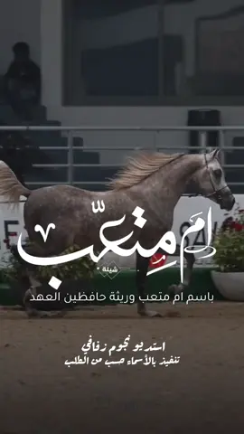 شيلة باسم ام متعب 2025 شيلة مدح ام متعب #استديو_نجوم_زفافي #لطلب_الشيلات_0505336824 #السعودية #الكويت #قطر  #تصميم_فيديوهات🎶🎤🎬تصميمي🔥 #تصميم_اسماء_حسب_الطلب #شيلة_باسم_متعب #شيلة_ام_متعب #ام_متعب 