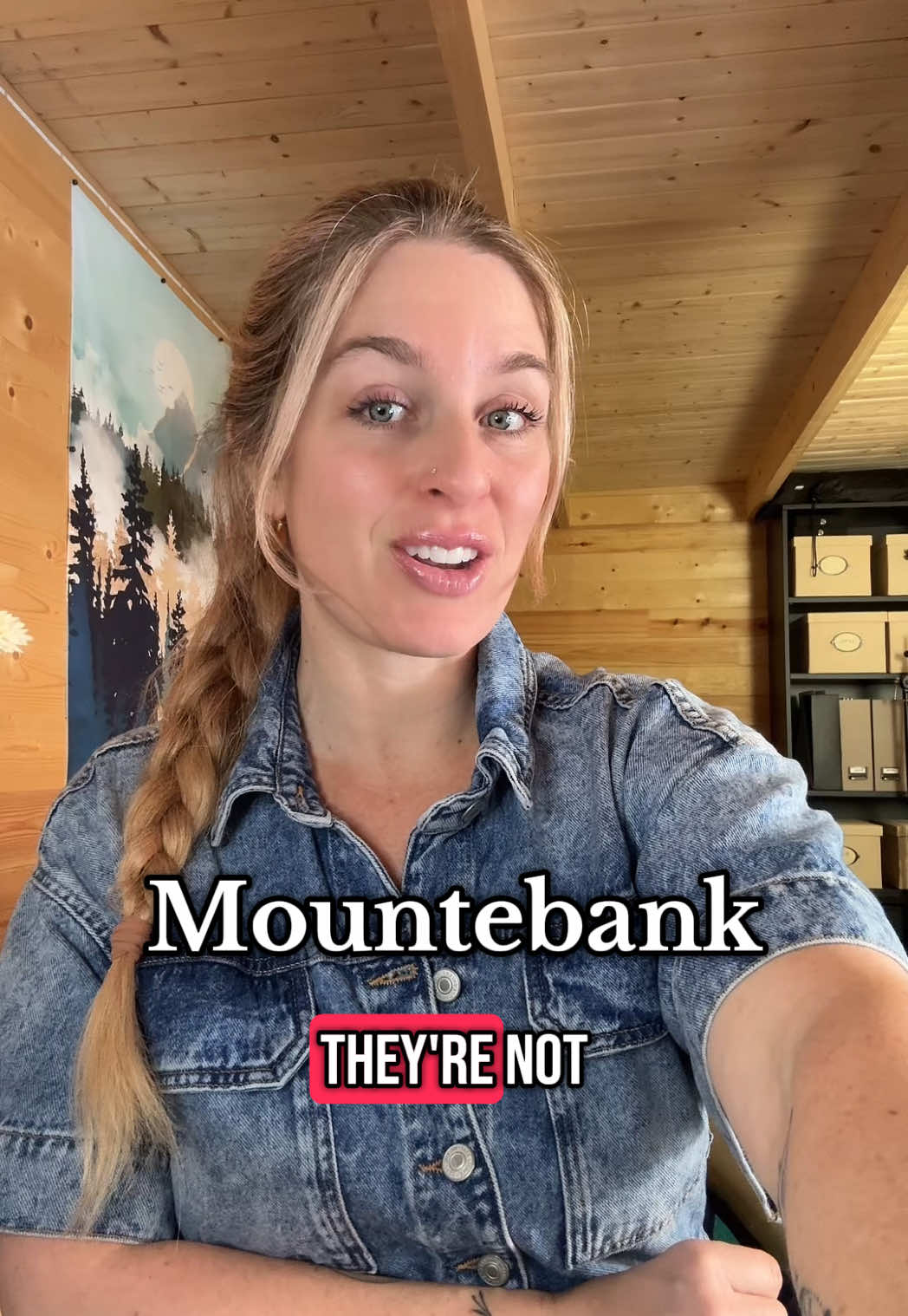 Mountebank (n.) fraudster, someone who claims to be something they’re not