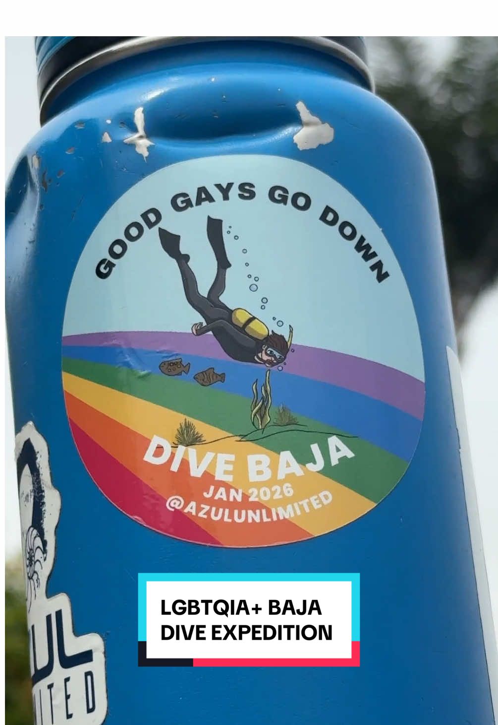 Good gays go down 😏⁠ ⁠ Need some queer community and joy while doing something totally rad? We're scuba diving in Baja one last time. ⁠ ⁠ Spots are filling up on this trip in January. Get the full trip details on my website.⁠ ⁠ Happy Pride, y'all 💅🌈⁠ ⁠ PS. You don't even have to be certified. Choose the option to add on the Open Water Course beforehand, and you'll be ready to go!⁠ ⁠ ⁠ #SCUBA #scubadiving #lgbttravel #lgbtqia #wuhluhwuh #wlw #divetravel #scubatravel #bajacaliforniasur #cabosanlucas #lapaz #cabopulmo